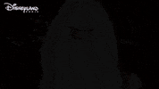 santa claus christmas GIF by Disneyland Paris
