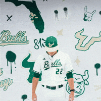 South Florida Baseball GIF by USF Athletics
