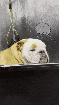 Happy Butler Bulldogs GIF by Butler University