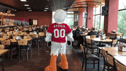 FollowStevens spin duck pose turn GIF