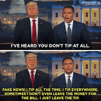 the daily show trump GIF by Comedy Central