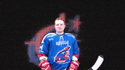 NewcastleNorthstars aihl northstars newcastle northstars GIF