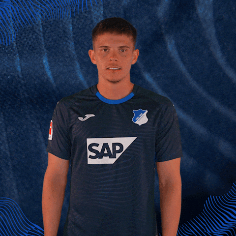 Sport Bundesliga GIF by TSG Hoffenheim