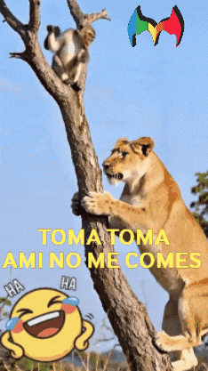 Humor Amigos GIF by Murcianys LLC