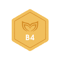 Base Training Sticker by Molchanovs