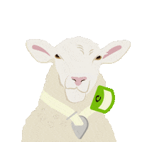Goat Sheep Sticker by Digitanimal