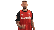 Come Bayer Leverkusen Sticker by Bundesliga