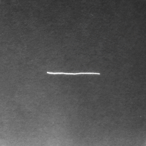 giuvisualart art animation loop black and white GIF