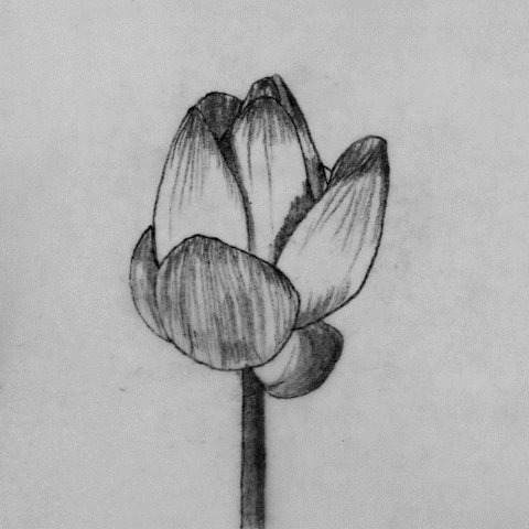 giuvisualart art animation loop black and white GIF