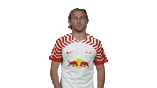 Come Here Rb Leipzig Sticker by Bundesliga