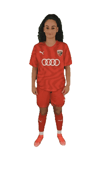 schanzerinnen frauenfussball nichtohnemeinemädels schanzerinnen 2 frauen bundesliga Sticker