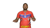 Handball Vernon Sticker by SMV HB