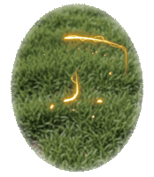 JerseySoul football soccer logo futebol Sticker