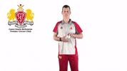 CaseySouthMelbourneCC swans csmcc caseysouthswans GIF