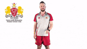 CaseySouthMelbourneCC swans csmcc caseysouthswans GIF