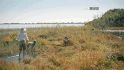 the durrells GIF by Film&Arts