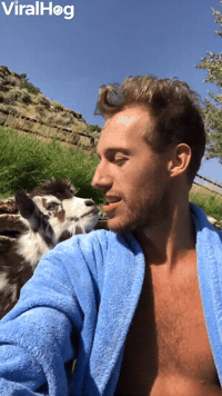 Heated Adorable Argument with Baby Goat