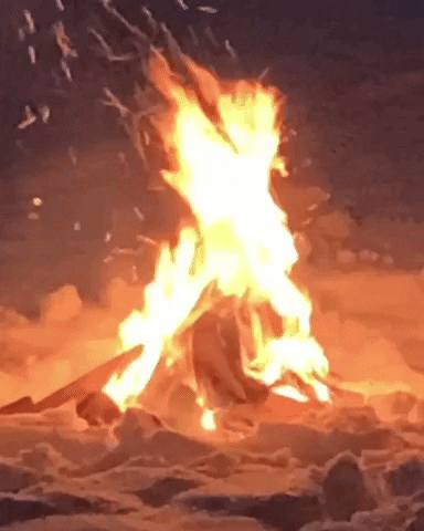 Fire Wood GIF by enlain