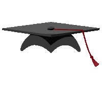 Graduation Sc Sticker by University of South Carolina