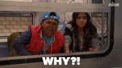 why GIF by Nickelodeon