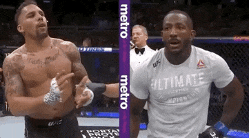 ufc sports sport ufc mma GIF