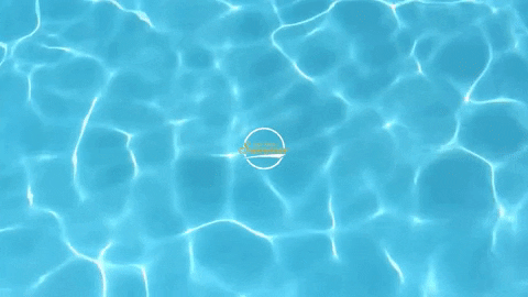 GIF by Oak Knoll
