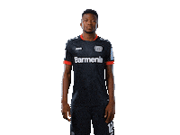 Bayer 04 Werkself Sticker by Bayer 04 Leverkusen