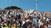 ODUFootball happy sports football sport GIF