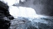 leaping north america GIF by Kitsune Kowai