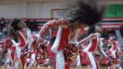 Bring It Dancing GIF by Brandon TV