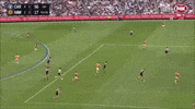 Carlton Fc Afl GIF by Carlton Football Club