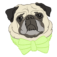 Bow Tie Love Sticker