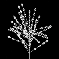 All Seeing Black And White GIF by xponentialdesign