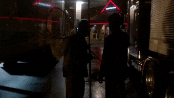 x files GIF by The X-Files