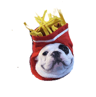 French Bulldog Dog Sticker by Refinery29