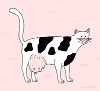 Cat Cow GIF by Juan Billy