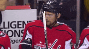 ice hockey GIF by NHL