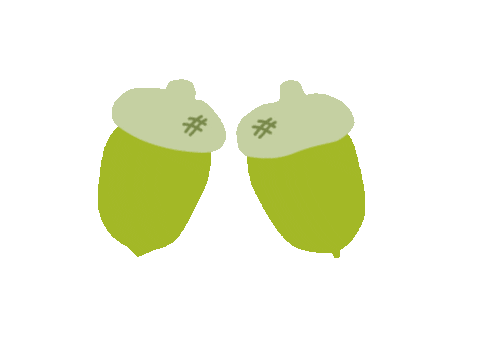 Botanopia_ giphyupload green acorn acorns Sticker
