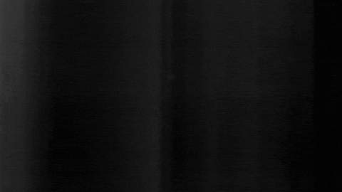 Football Sport GIF by SK Sturm Graz