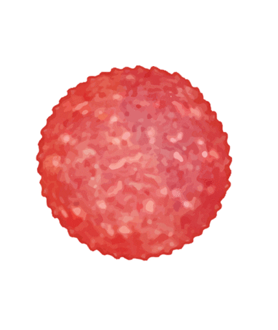 Wiesbauer giphyupload slice sausage wurst Sticker