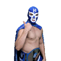 maskadorestacoshopaz wrestling wrestler lucha lucha libre Sticker