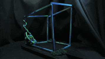 animation GIF by Qieer Wang