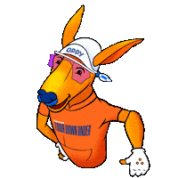 Race Cycling Sticker by Tour Down Under