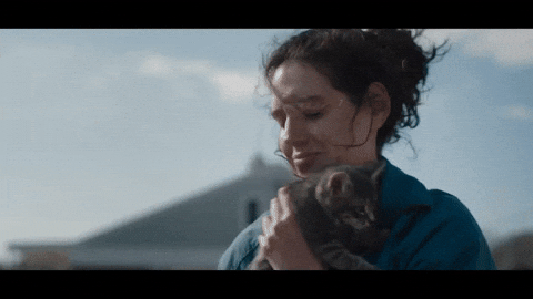 Cat Hug GIF by VVS FILMS
