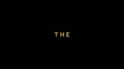 parkour freerunning GIF by MÜV Magazine
