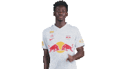 Football No Sticker by FC Red Bull Salzburg
