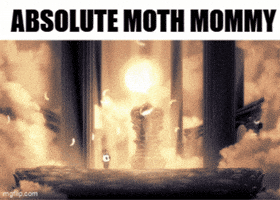 Hollow Knight Moth GIF