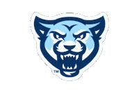 Mascot Athletics Sticker by Mount Vernon Nazarene University