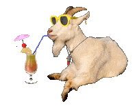 Happy Fun Sticker by SESIUS