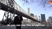 Marvel Bridge GIF by BuzzFeed